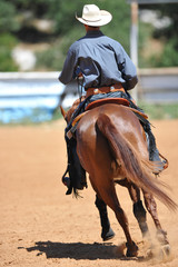 The rear close-up view of a rider on a horseback