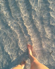 Wading in Clear Tropical Waters