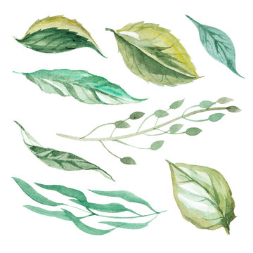 set of different lieves