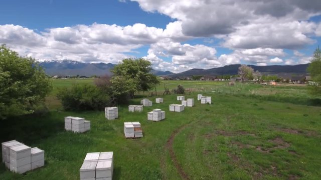 Aerial shot of flying over the bee boxes in a field