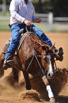 A close up view of a horse sliding in the dirt