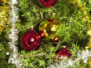Shiny beautiful Christmas tree decoration closeup isolated. Happy holidays!
