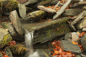 Stones of a stream in Autumn