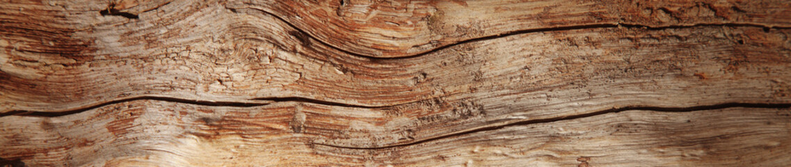 Naklejka na ściany i meble Old rich wood grain texture background with knots