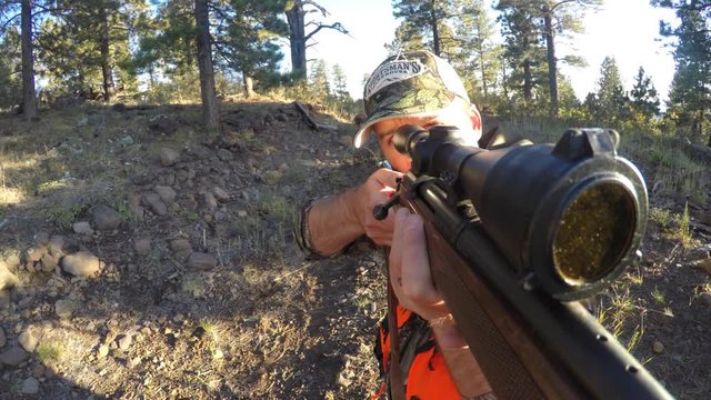 Hunter looks through his rifle scope