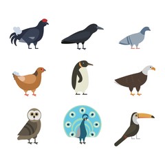 Birds vector set illustration isolated