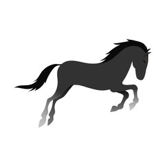Horse vector isolated animal.