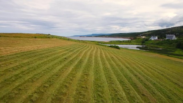 Aerial farmer cuts the grass in field by ocean coastline