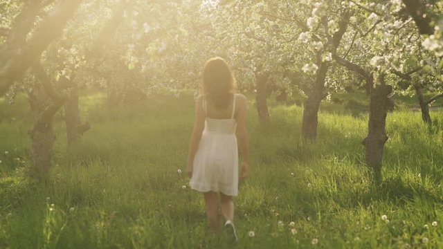 Young pretty smiling  caucasian woman in white dress walks in a blooming spring garden. Youth, freshness, beauty, happiness concept.