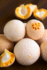 Chilenischer Pinatra oder Diguene (lat. Cyttaria espinosae) essbarer Pilz, fotografiert mit natürlichem Licht (Selektiver Fokus, Fokus auf die oberen Pilze)