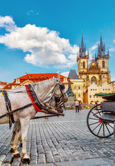 Fototapeta na wymiar horse-drawn carriage in Old Town Square in Prague, Czech Republic