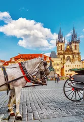 Gartenposter Pferdekutsche auf dem Altstädter Ring in Prag, Tschechien © Feel good studio