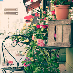 Roses being sold in a sidewalk in Paris
