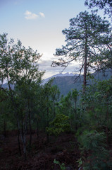 Chipinque Hill
