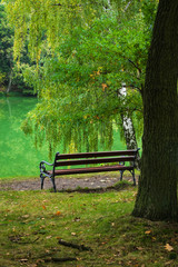 Bench in the park