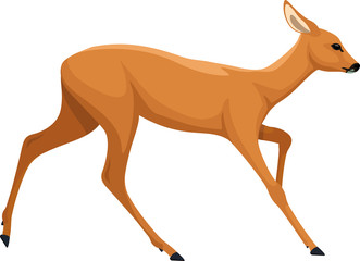 vector cute cartoon baby deer isolated on white © Save Jungle