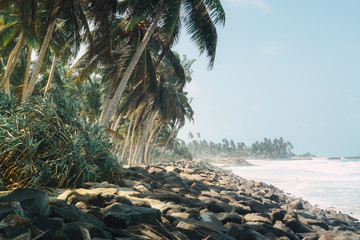 Rocky Tropical Coastline