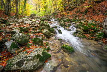 Beautiful autumn landscape with mountain river and colorful trees