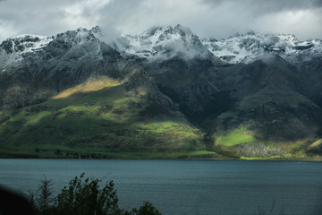 Early morning landscape with green grass fields and fantastic trees and fog in Iceland