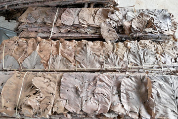 roof made from dry leaves,roof,dry leaves,nature,green leaves,selective focus