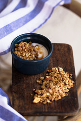 Homemade Granola with Yogurt and Honey