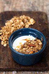 Homemade Granola with Yogurt and Honey