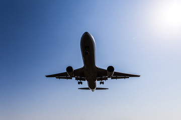 飛行機