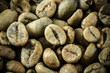 Fototapeta na wymiar Raw coffee beans