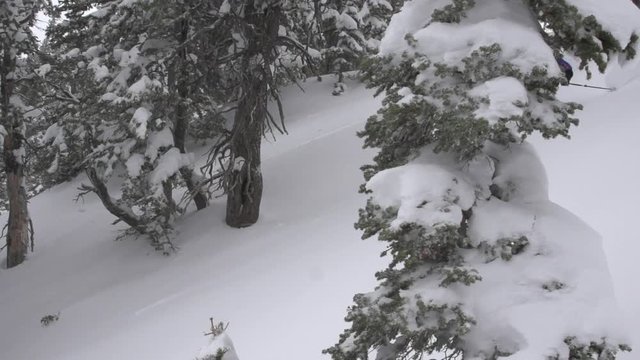 Moving camera as a man does powder turns 