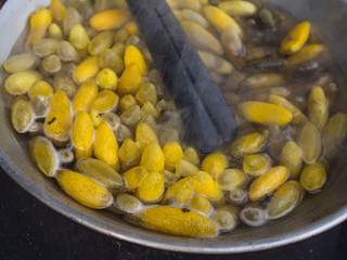 The Traditional of Sericulture