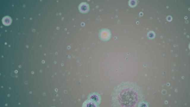 Monocyte blood cells in loop motion