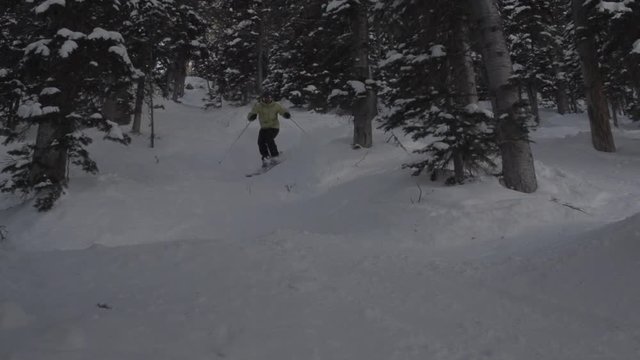 man skis moguls in between trees on snowy slope with a dolly