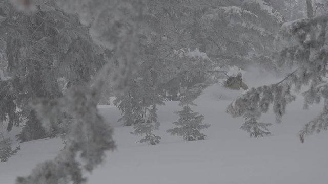 Skier skis line through deep powder snow and trees
