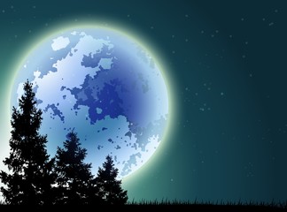 Fototapeta na wymiar night background with pine tree and Full moon