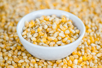 Corn (background image)