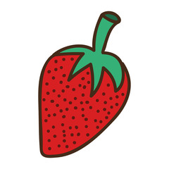 strawberry fruit icon over white background. draw design. vector illustration