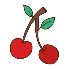 red cherry fruit icon over white background. draw design. vector illustration