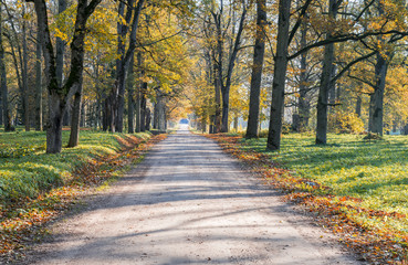 Countryside road in autumn, Europe