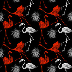 Vector Creative Pattern, background with flamingos