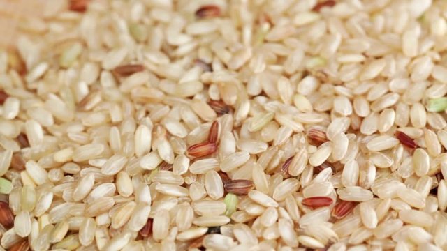 HD 1080 static: brown Rice seed on rotating display; close up; 