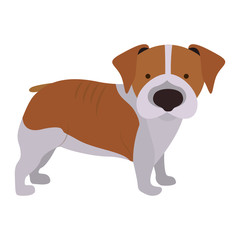cute beagle dog animal icon over white background. vector illustration