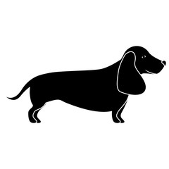 silhouette of cute dog animal icon over white background. vector illustration