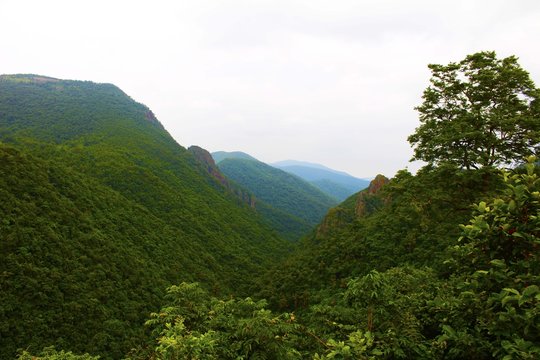 The magnetic canyon at Daringbadi