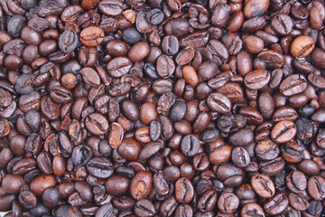 coffea beans texture