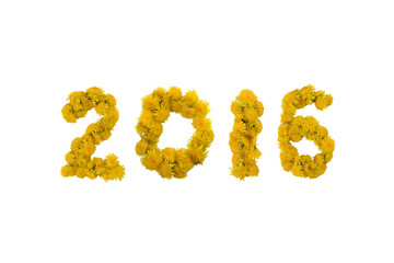 Inscription 2016 made of yellow dandelions on a white background. Isolated
