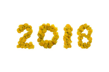Inscription 2018 made of yellow dandelions on a white background. Isolated