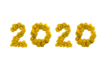 Inscription 2020 made of yellow dandelions on a white background. Isolated