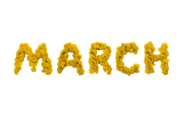 Inscription MARCH  made of yellow dandelions on a white background. Isolated