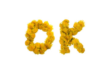 Inscription OK  made of yellow dandelions on a white background. Isolated