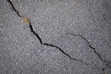 Obraz premium Fissure in asphalt